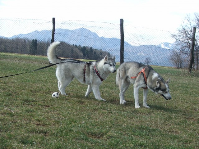 Luongo in Alba :-) - foto