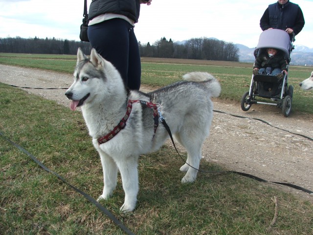 Luongo in Alba :-) - foto