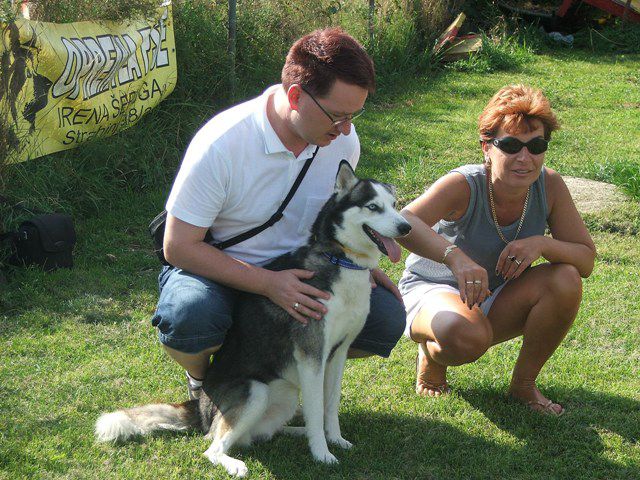 Husky miting 22.08.2010 - foto povečava