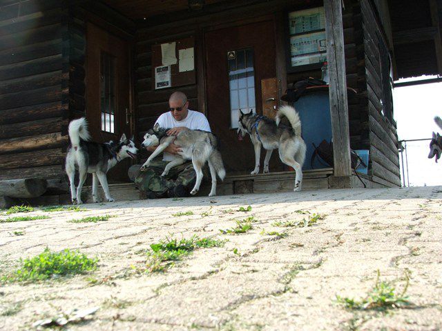 Husky miting 22.08.2010 - foto