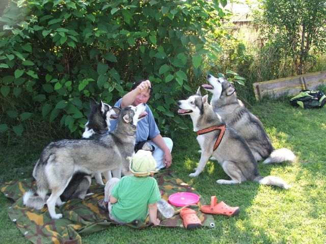 Husky miting 22.08.2010 - foto