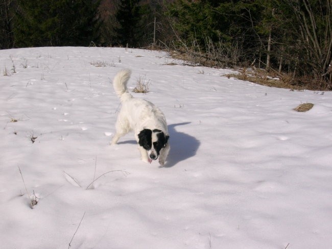 Vrše, 30.3.08
