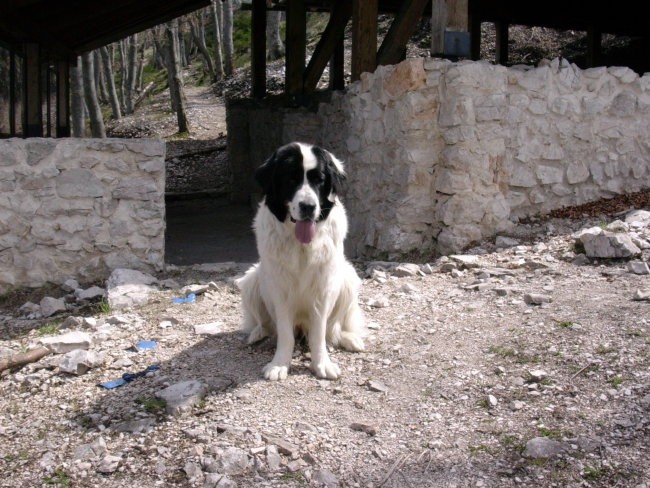 Ajdna&završnica - foto povečava