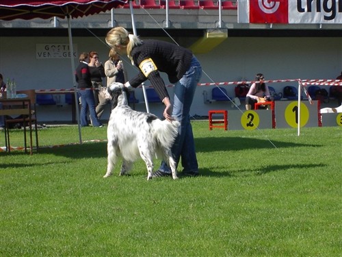 BASS I VASCO - foto povečava