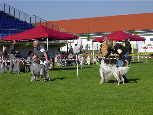 BASS I VASCO - foto povečava