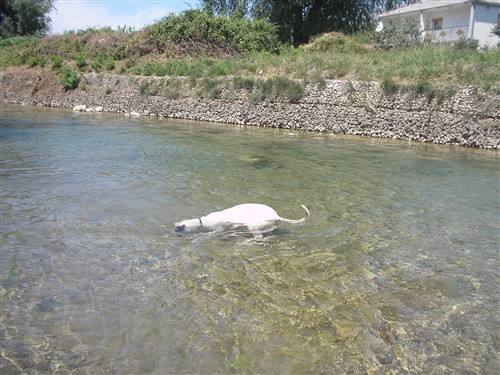 ZAK - foto povečava