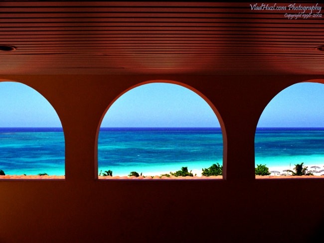 Torta - foto povečava