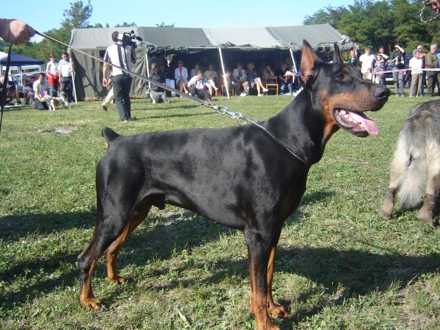 Cac Trbovlje 2009 - foto