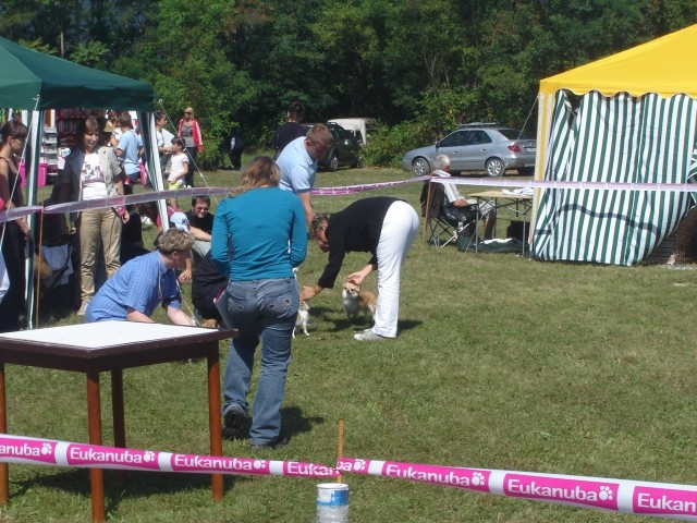 Cac Trbovlje 2009 - foto