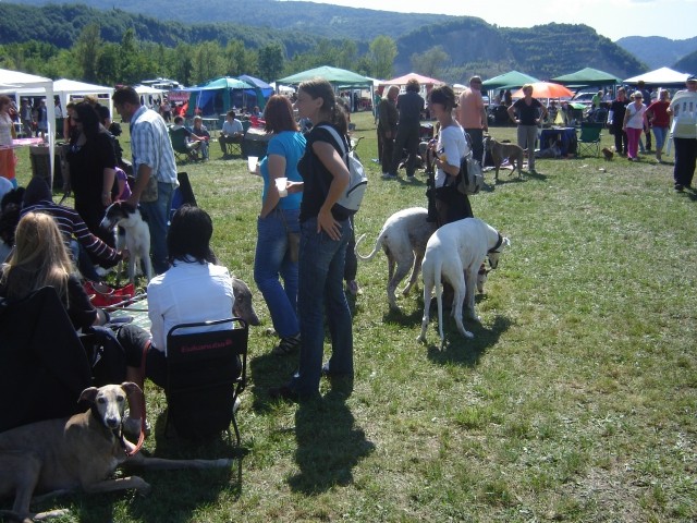 Cac Trbovlje 2009 - foto