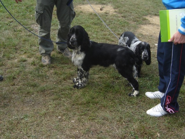 Cac Trbovlje 2009 - foto