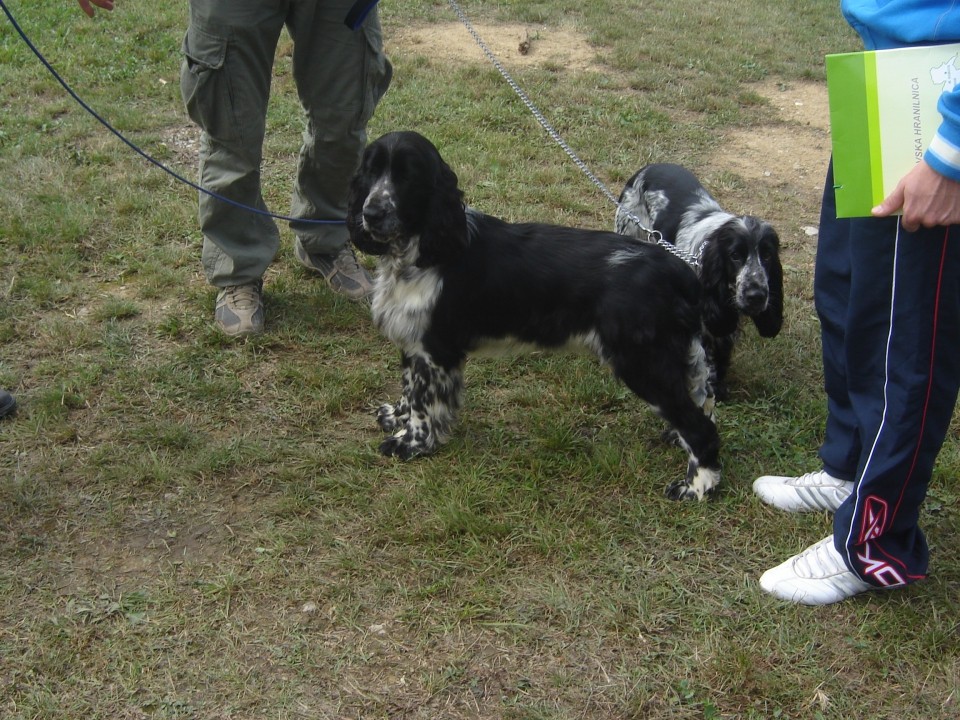 Cac Trbovlje 2009 - foto povečava