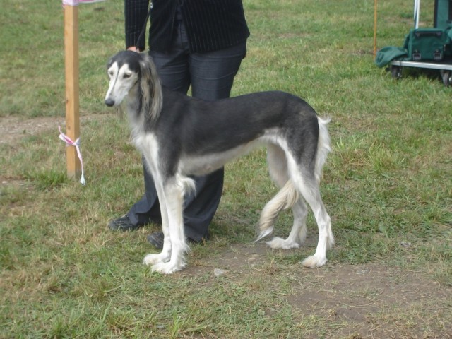 Cac Trbovlje 2009 - foto