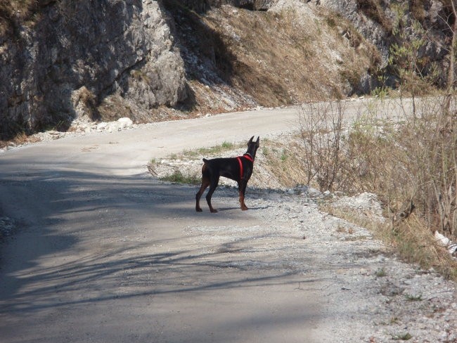 Iro-6. mesecev - foto povečava