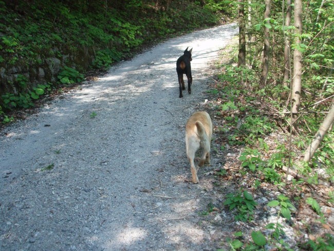 Iro&Taja- 27.4.07 - foto povečava