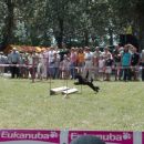 agility Postojna