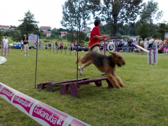 Agility Postojna - foto