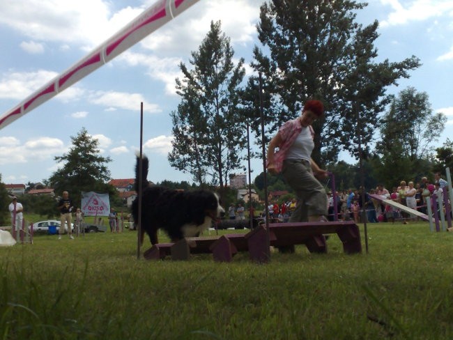 Agility Postojna - foto povečava