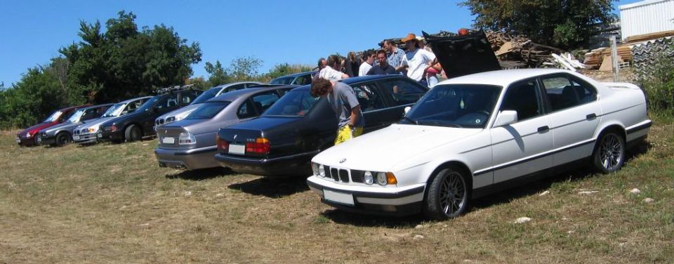 Pomjan - foto povečava