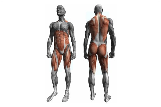 Kreuzheben - foto povečava