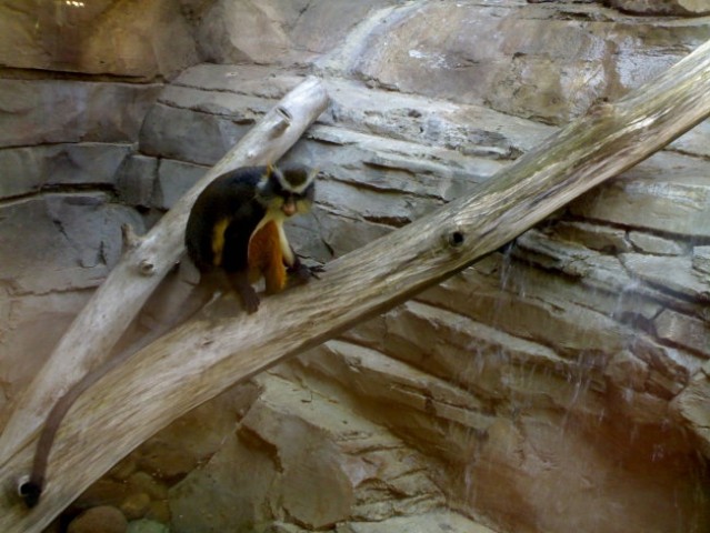 Omaha Zoo - foto