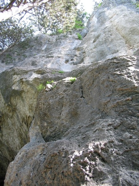 Climbing_Zavrsnica_25.6.08 - foto povečava