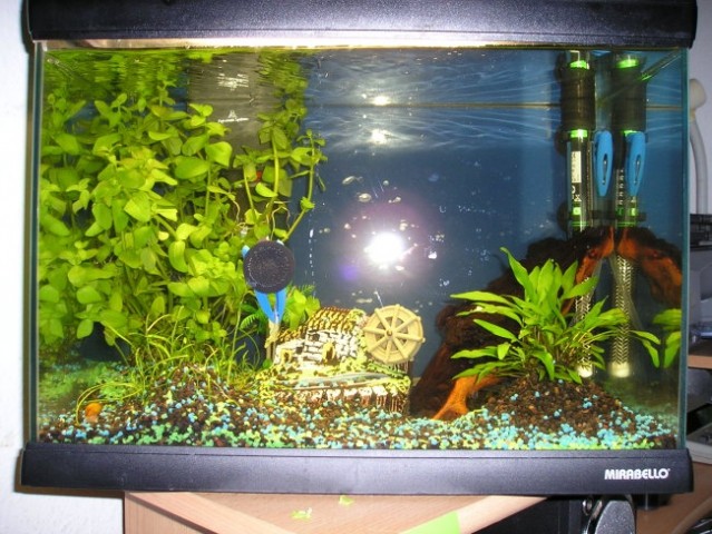 Moj prvi Akvarij - foto