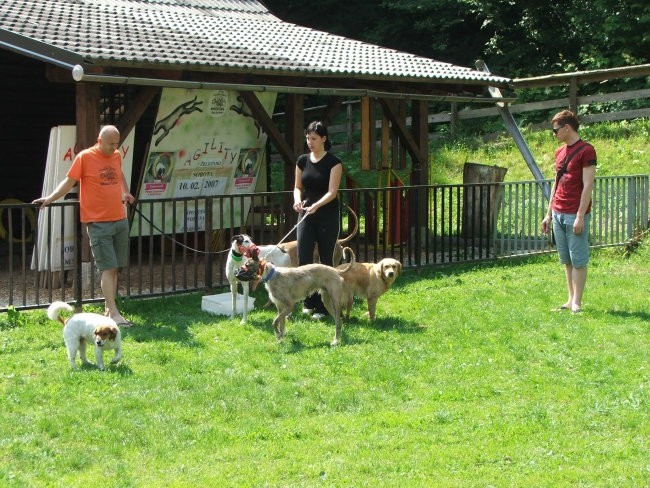 Srečanje v Železnikih - foto povečava