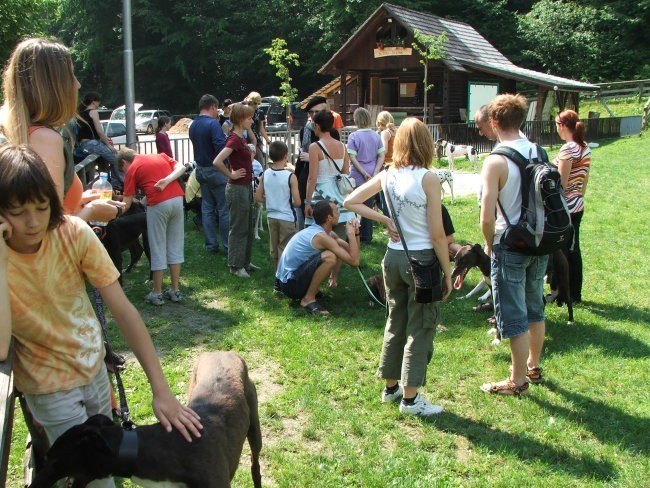 Srečanje v Železnikih - foto povečava