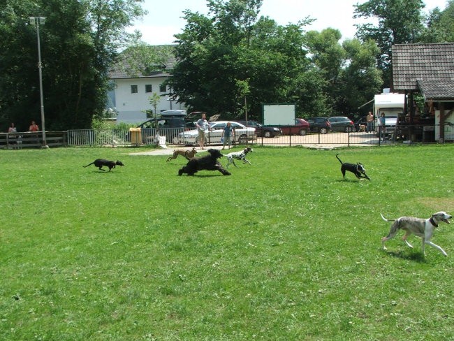 Srečanje v Železnikih - foto povečava