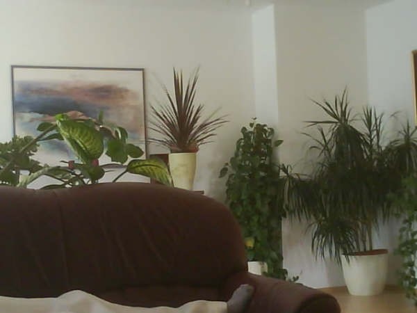 Sandra Z. rojstni dan 2007 - foto povečava
