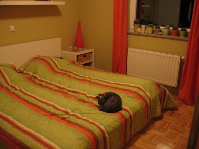 Gyasi pravi: 'to je samo moja postelja!'