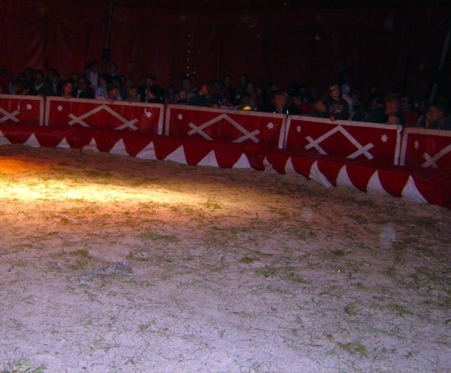 Cirkus 2008 - foto povečava
