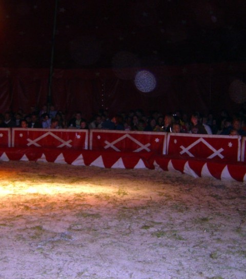 Cirkus 2008 - foto