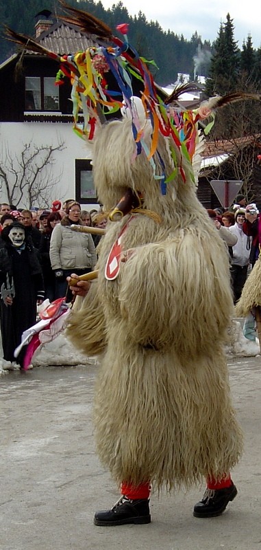 Pustni karneval v Mežici 2009 - foto