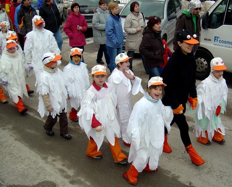 Pustni karneval v Mežici 2009 - foto povečava