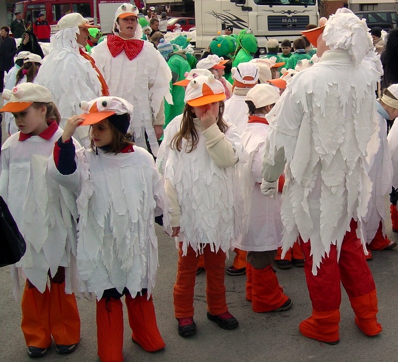 Pustni karneval v Mežici 2009 - foto povečava