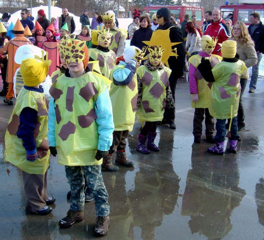 Pustni karneval v Mežici 2010 - foto