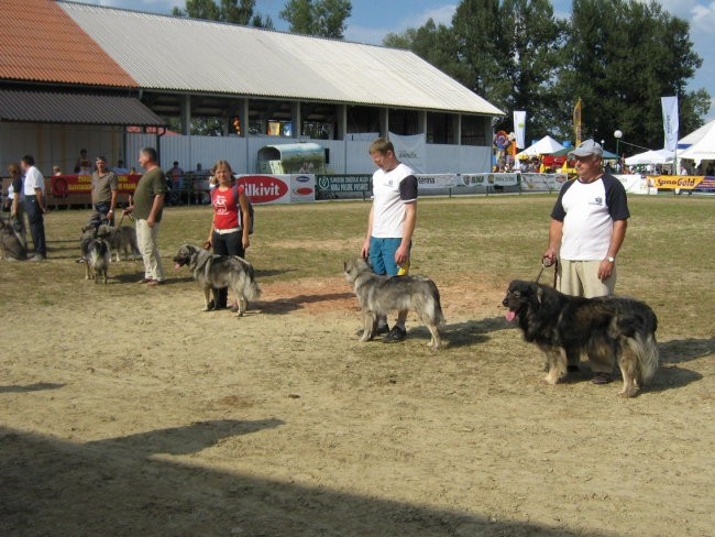 Gornja Radgona 2 - foto povečava