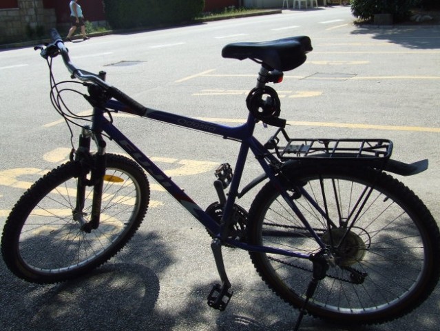 Tadej's bike