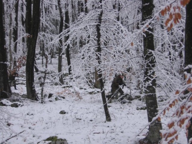 Snežna idila vendar zagrižen boj se nadaljuje, kljub mrazu!