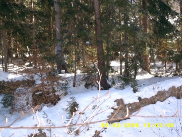 6 Spopad: Lom- Dražnik / ZIMA 5.2.2006 - foto