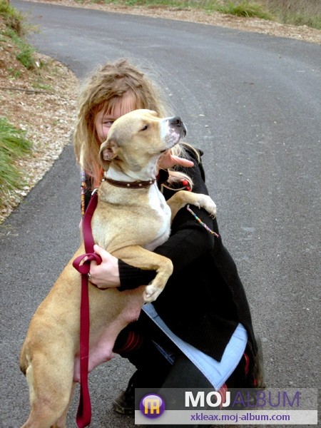 APBT mix, 041 626 448