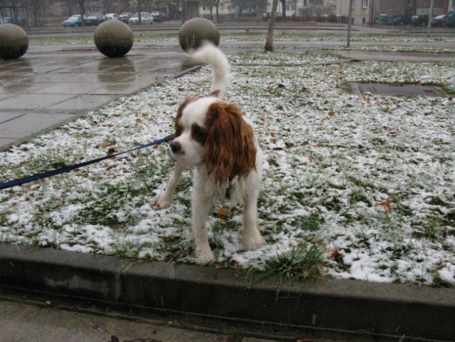 Zima 2007 - foto
