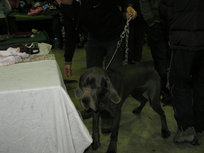 Razstava LJ - januar 2008 - foto povečava