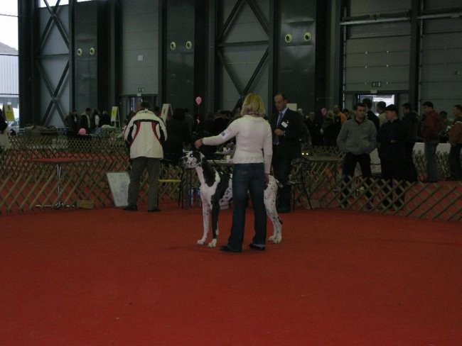 Razstava LJ - januar 2008 - foto povečava