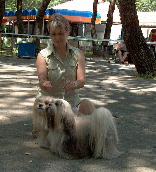 Nova šampiona SCG