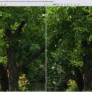 left E-500, right E-1,
both 14-54