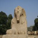 Sfinga v Memphisu (bivše glavno mesto Egipta)