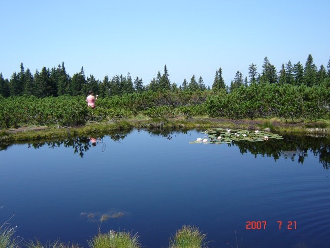 ROGLA 2007 - foto povečava